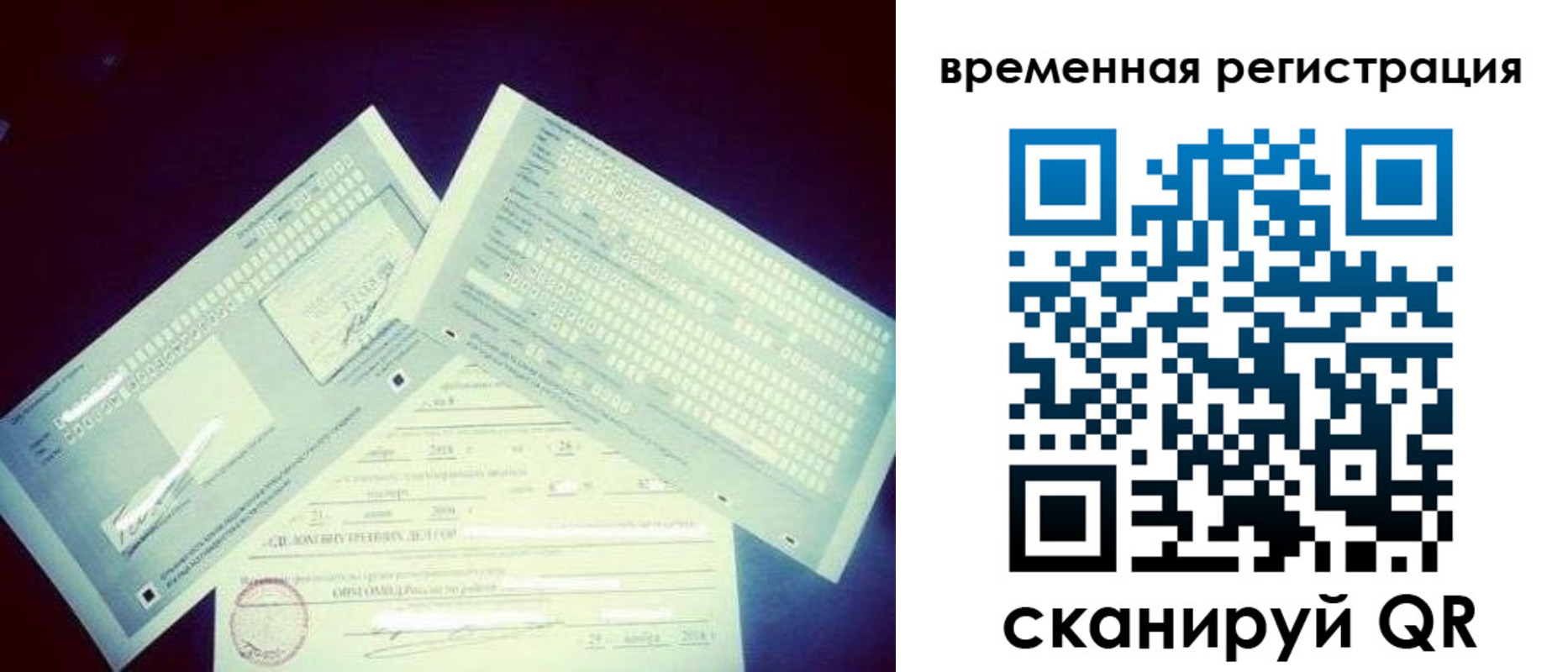прописка для школы в Владимирской области